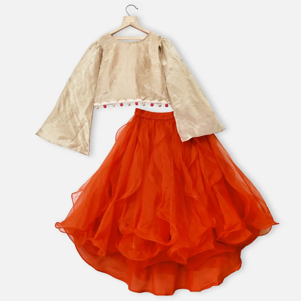 Bell Sleeves Top With Burnt Orange Skirt