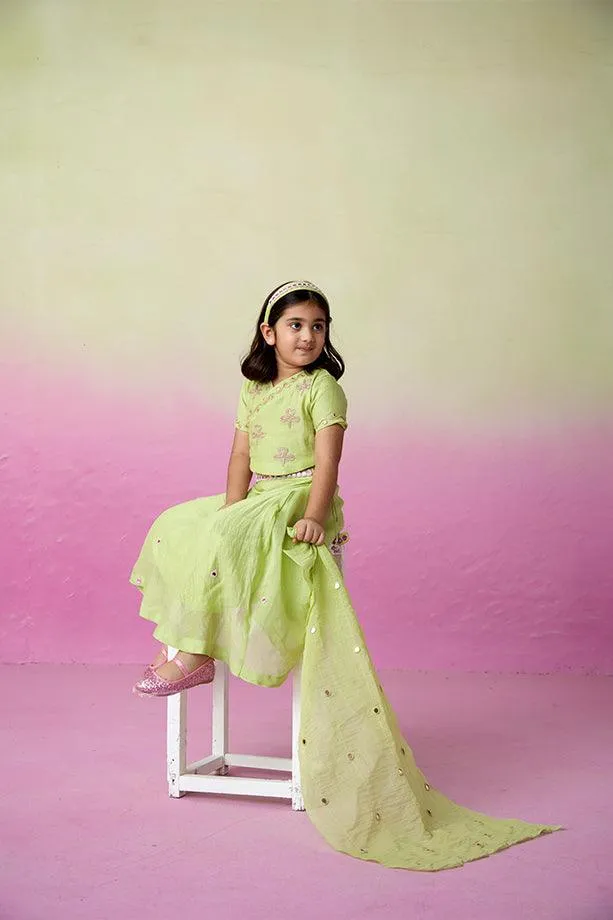 Dainty Garden- Lime Hand Embroidered Crop top, Skirt and Dupatta Set for Girls