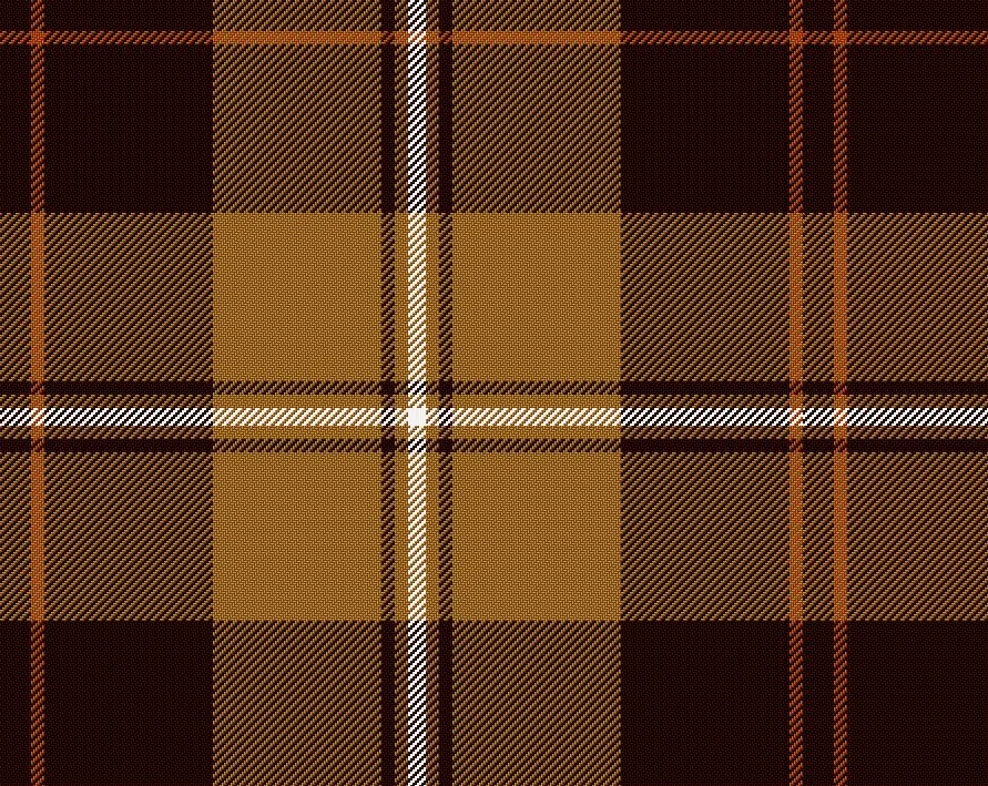 Elgin Modern Tartan Scarf