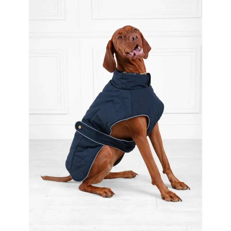 Fairfax & Favor Charlotte Padded Dog Coat - Navy