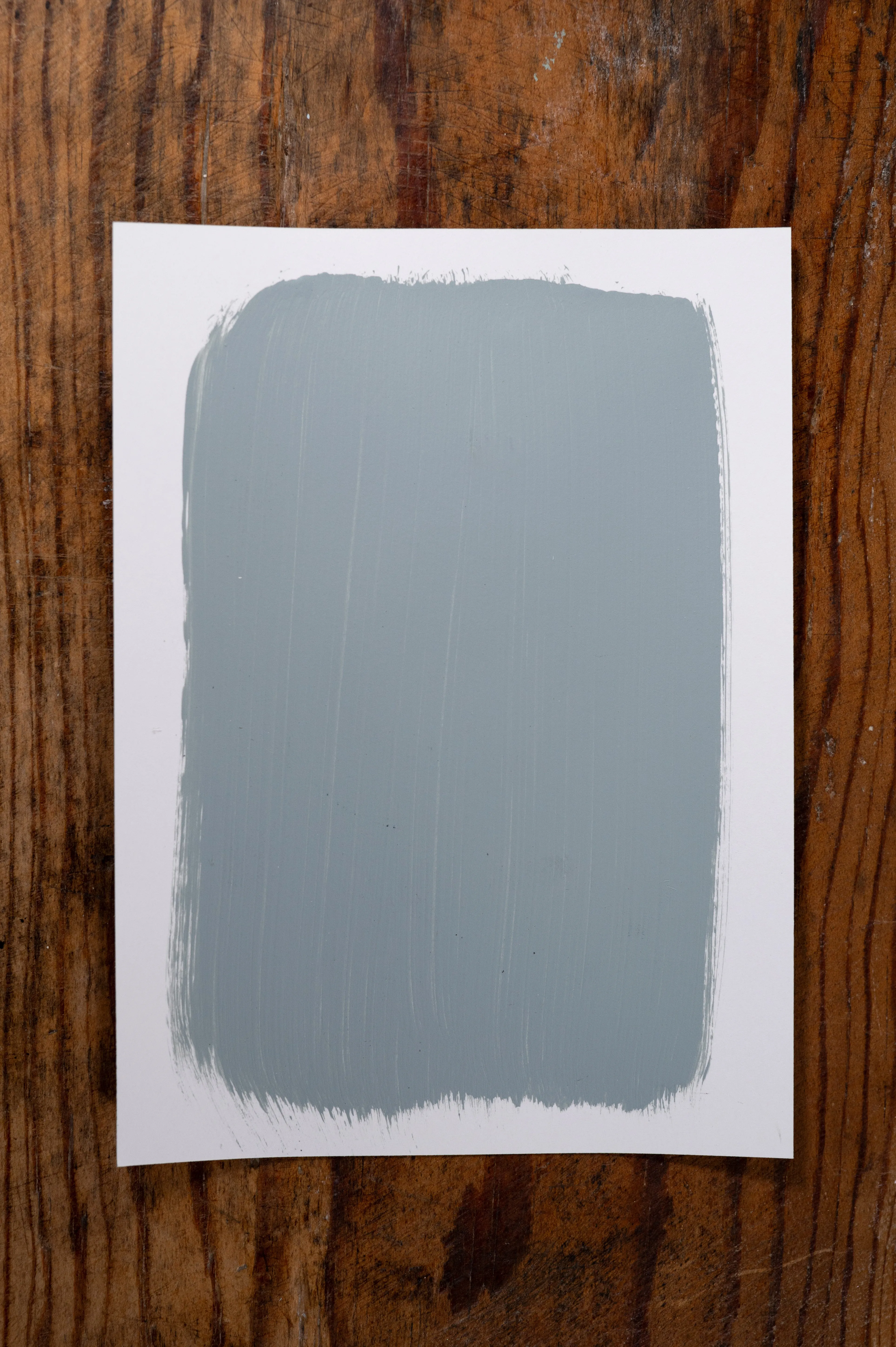 Glacier Grey  - Manor Borne Wall Paint