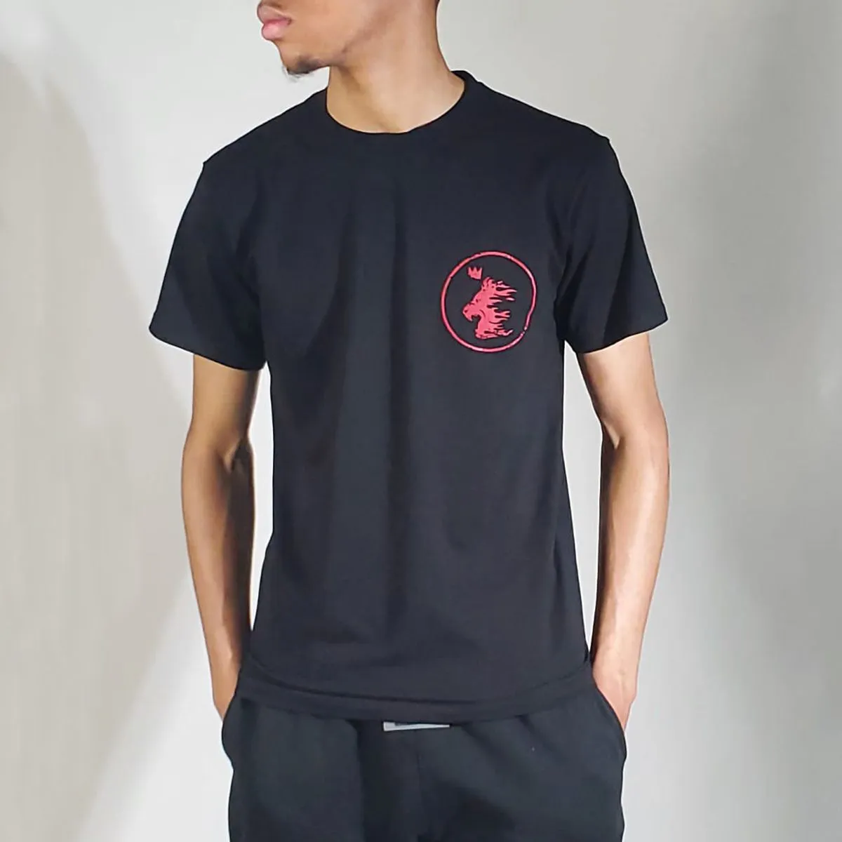 Hudson Paladin Black Tee