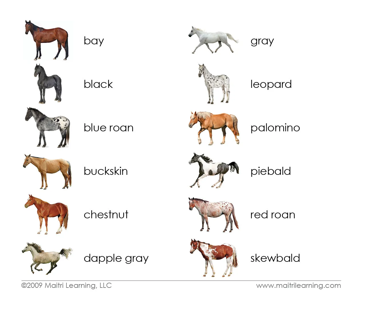 Imperfect Horses (Coat Colors) Matching