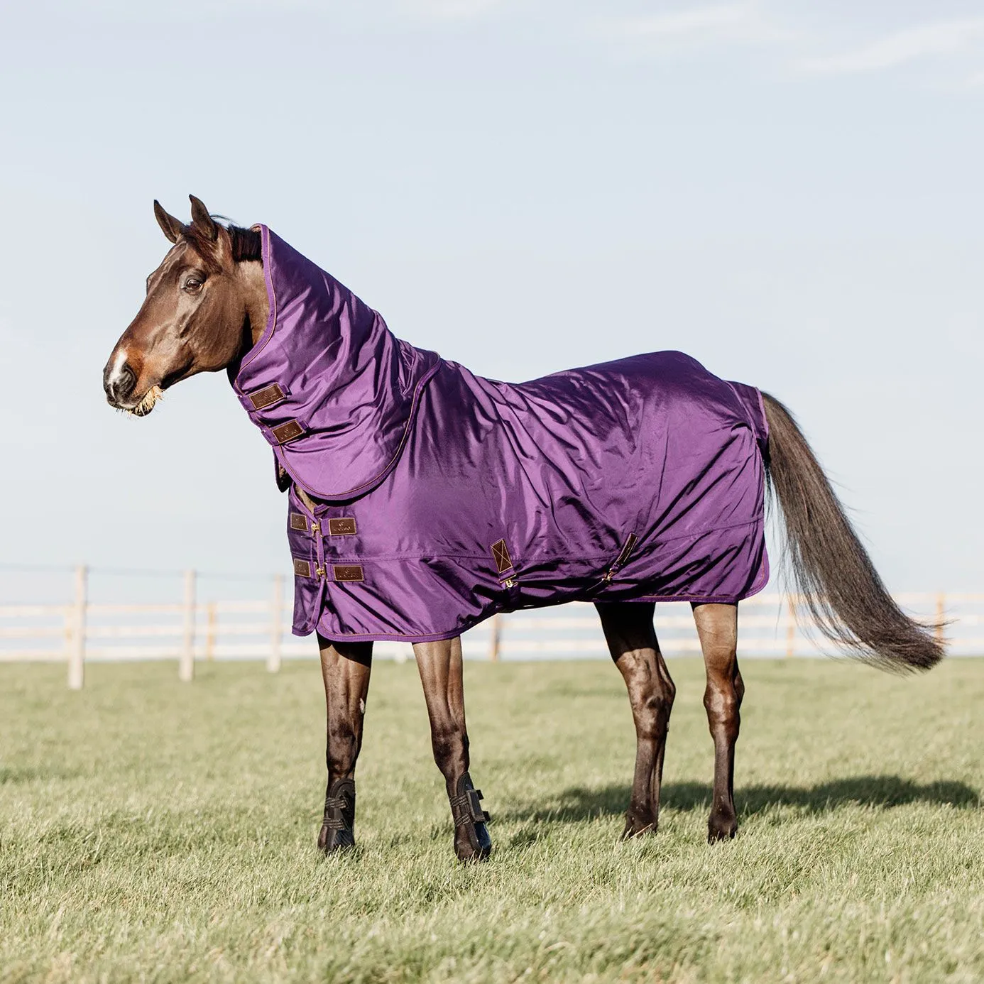 Kentucky Horsewear Pro All Weather Turnout Rug 160g - Royal Purple