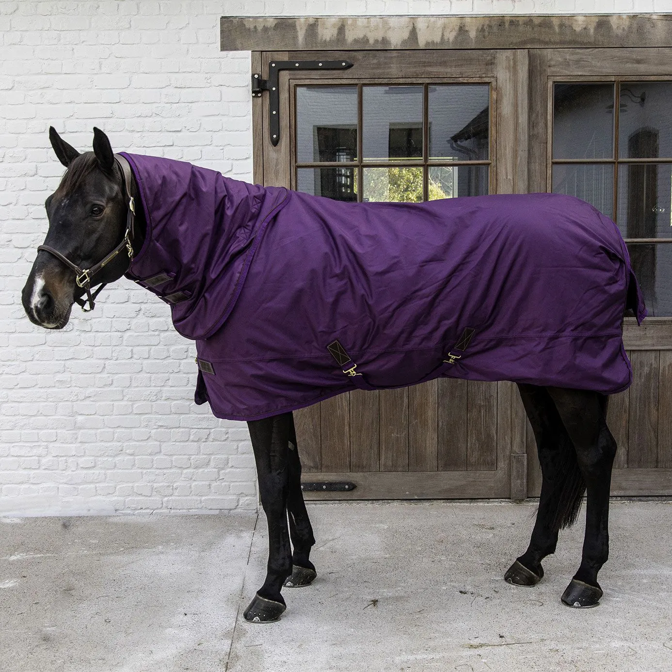 Kentucky Horsewear Pro All Weather Turnout Rug 160g - Royal Purple