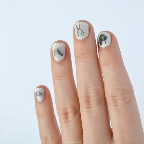 Nail transfer: Rabbits