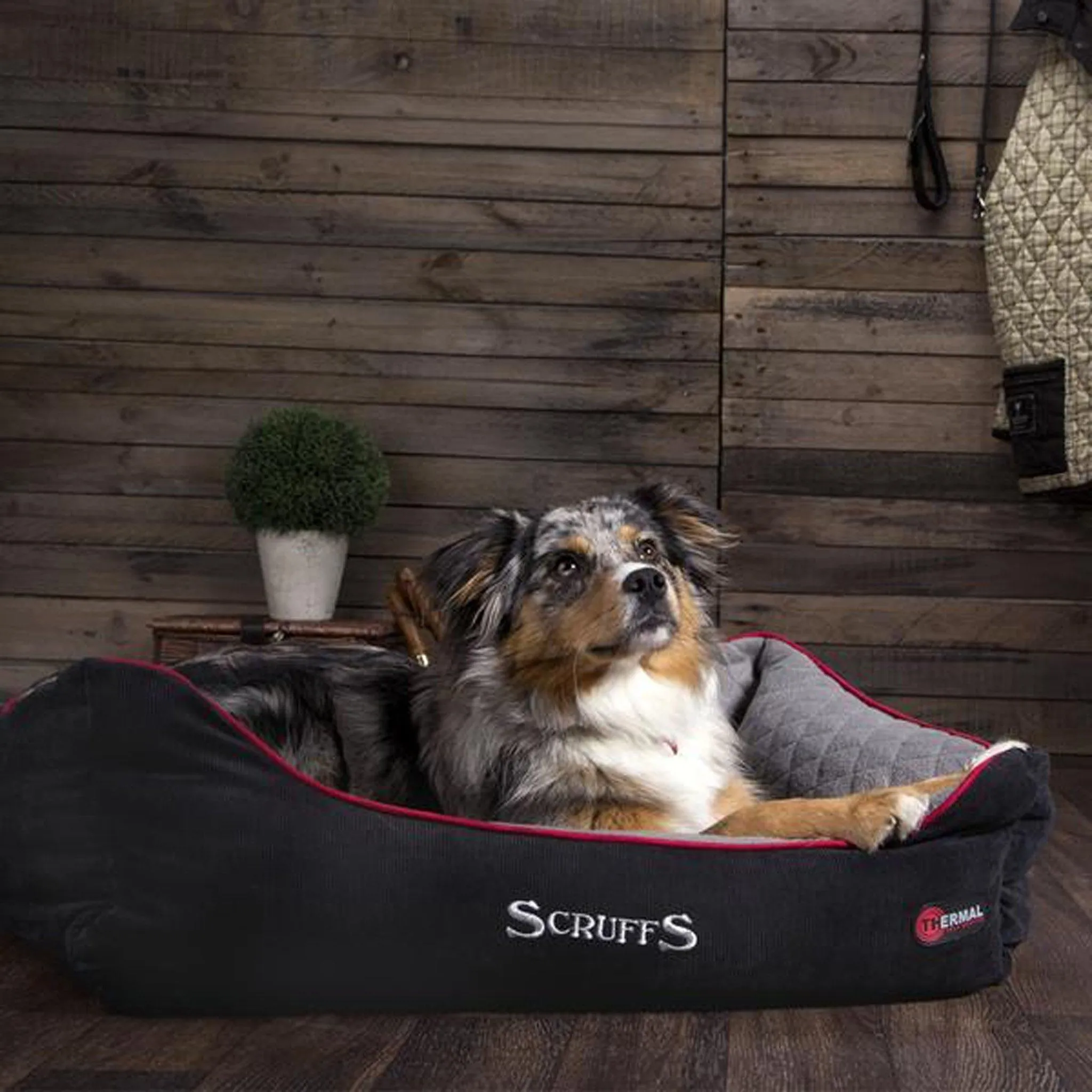 Scruffs Thermal Box Bed