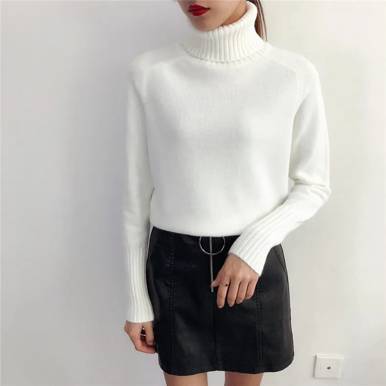 Sylvia Cashmere Knitted Turtleneck Sweater