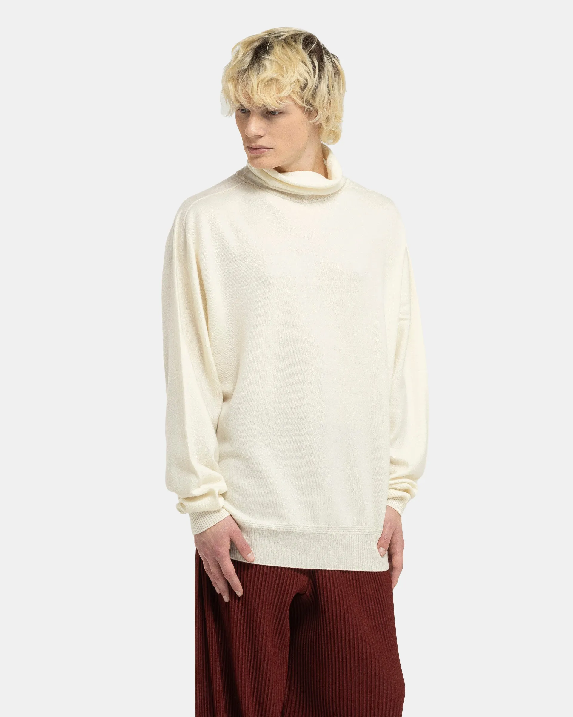 Wool Smooth Turtleneck in Ivory